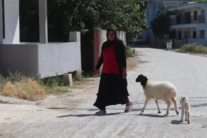 Evladını lösemiden kaybeden anne, teselliyi peşinden ayrılmayan kuzuda buldu