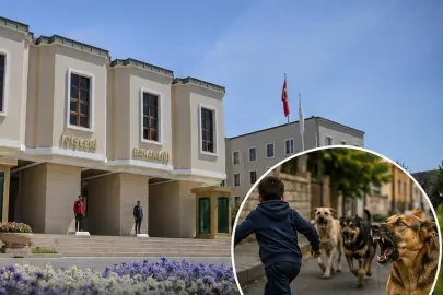 Halfeti'deki köpek saldırısıyla ilgili Mülkiye Müfettişi görevlendirildi