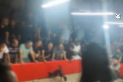 Hayvanları Koruma Derneği'ne horoz dövüşü baskını: İçeriden 110 kişi çıktı