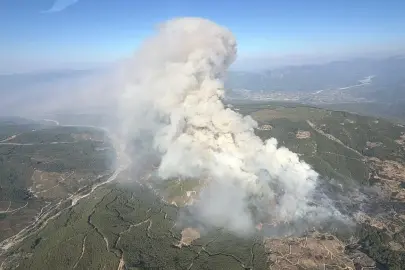 Muğla'da orman yangını. Ekiplerin müdahalesi sürüyor