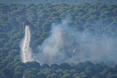 1 Haziran'dan bugüne kadar çıkan yangınlarda 9 tutuklama