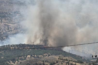 Adıyaman'da orman yangını. Ekipler müdahale ediyor